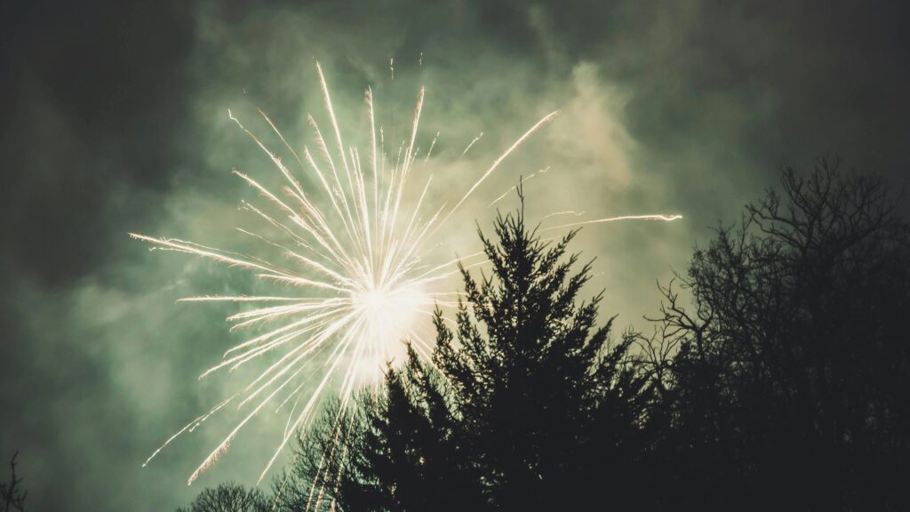 Feuerwerk über Bäumen