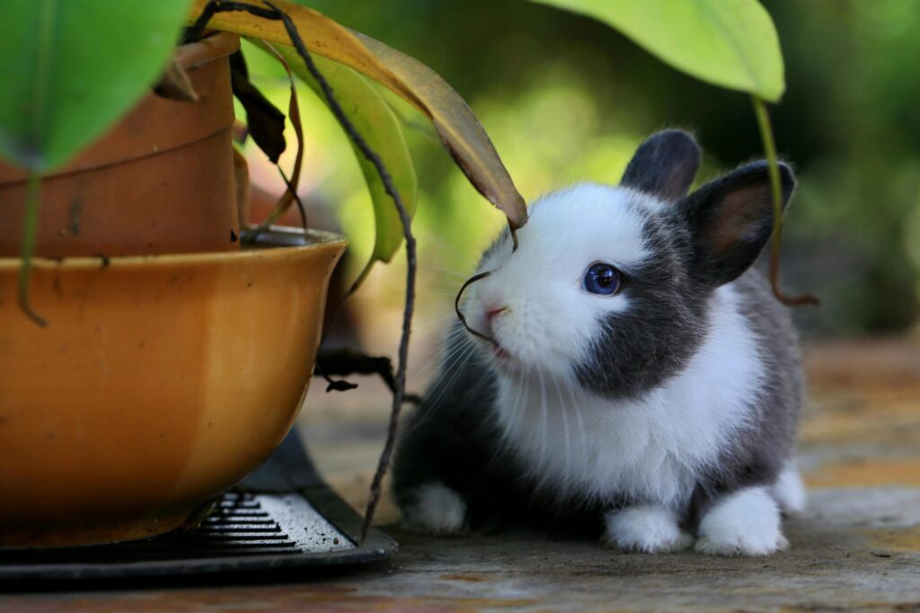 Frohe Ostern