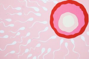 Grafische Illustration: mehrere weiße Spermien auf rosafarbenem Hintergrund bewegen sich zur großen rot-rosa Eizelle.