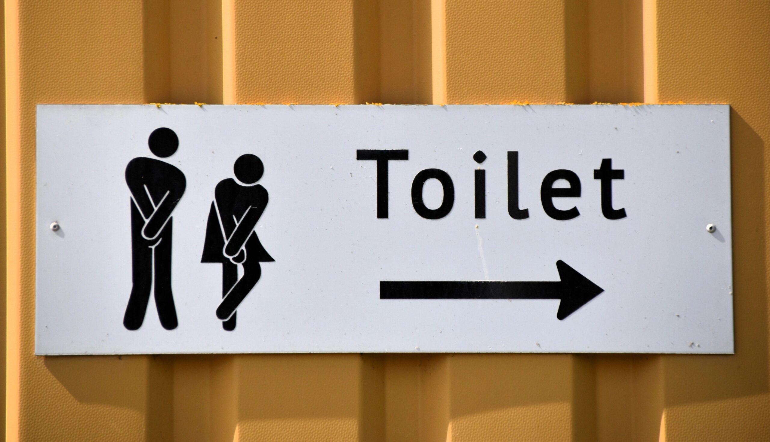 Weißes Schild mit der Aufschrift 'Toilet', einem Pfeil nach rechts und zwei stilisierten Personen.