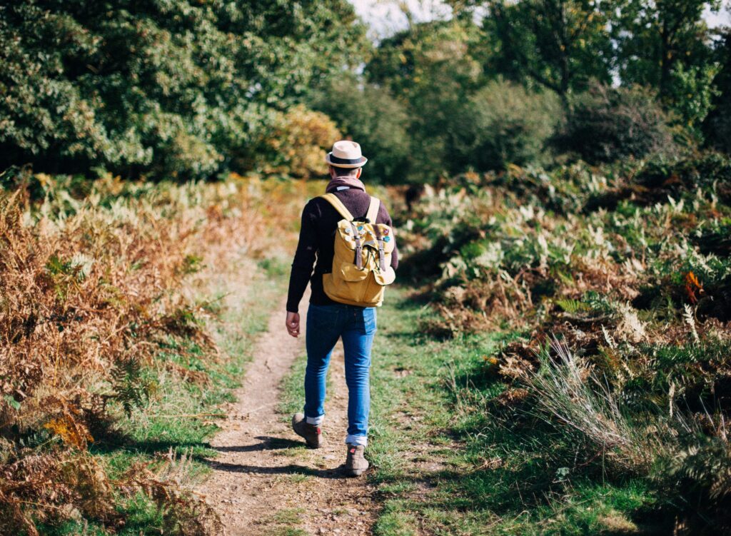Rückansicht einer Person mit Hut und gelbem Rucksack, die auf einem schmalen Waldweg zwischen Büschen und Bäumen geht.